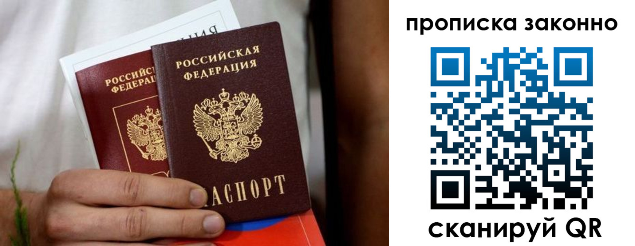 прописка в Вольске